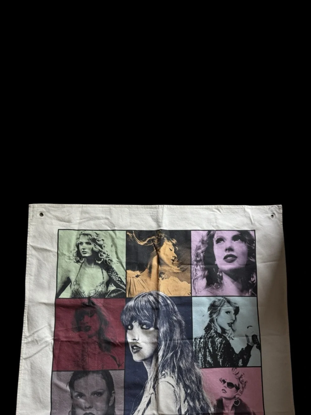 Taylor Swift official taylor